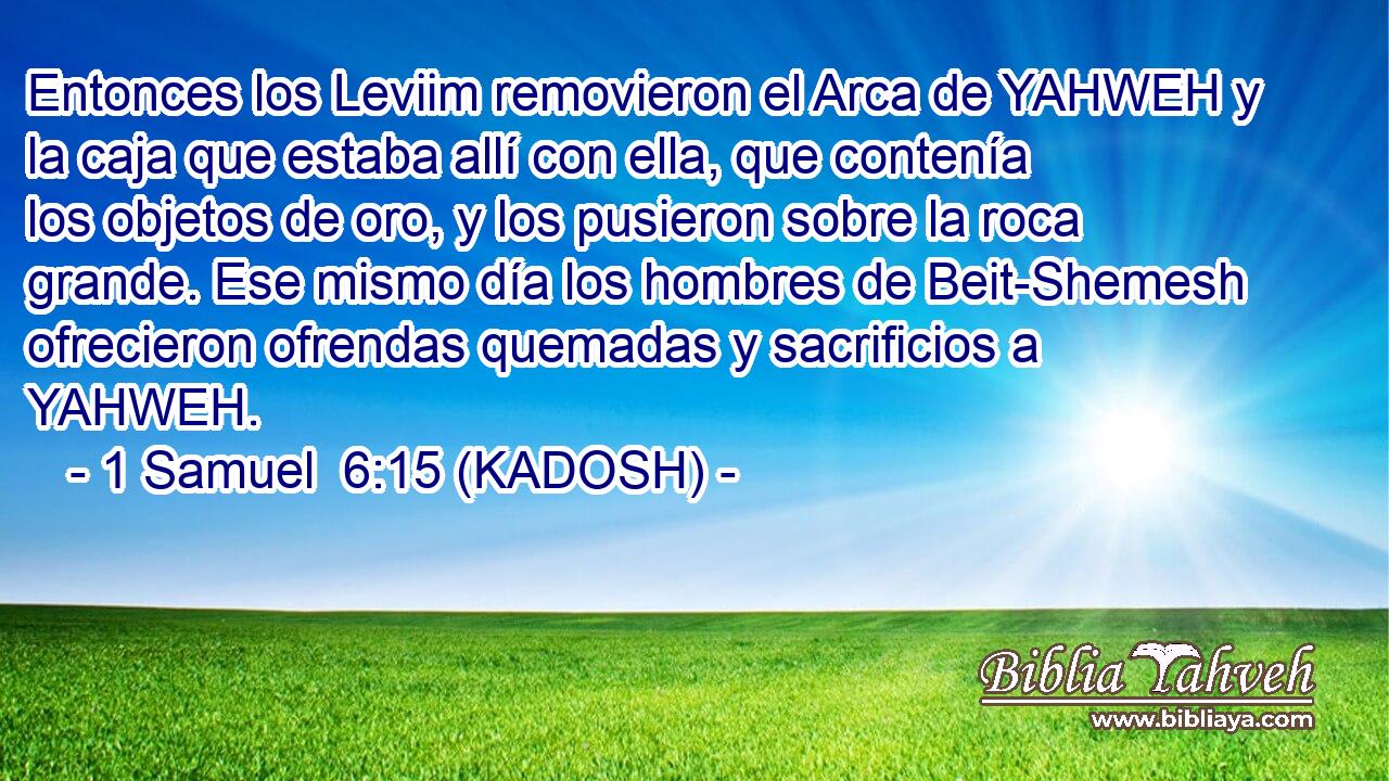  Entonces los Leviim removieron el Arca de YAHWEH y la caja que estaba allí con ella, que contenía los objetos de oro, y los pusieron sobre la roca grande. Ese mismo día los hombres de Beit-Shemesh ofrecieron ofrendas quemadas y sacrificios a YAHWEH. 