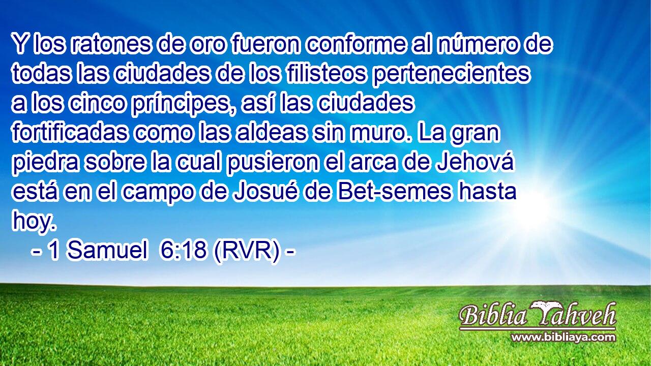 Y los ratones de oro fueron conforme al número de todas las ciudades de los filisteos pertenecientes a los cinco príncipes, así las ciudades fortificadas como las aldeas sin muro. La gran piedra sobre la cual pusieron el arca de Jehová está en el campo de Josué de Bet-semes hasta hoy.