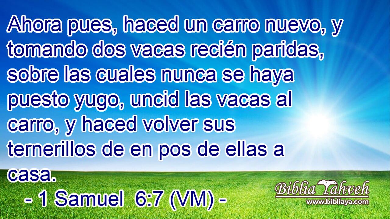  Ahora pues, haced un carro nuevo, y tomando dos vacas recién paridas, sobre las cuales nunca se haya puesto yugo, uncid las vacas al carro, y haced volver sus ternerillos de en pos de ellas a casa. 