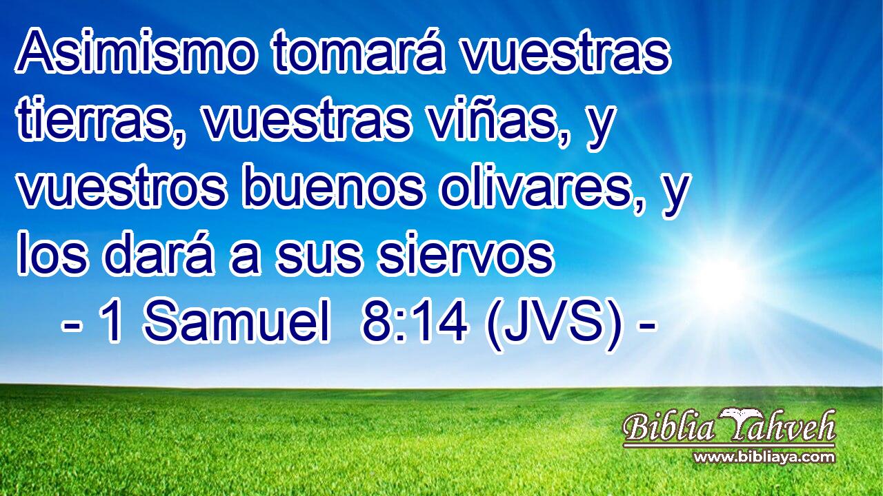Asimismo tomará vuestras tierras, vuestras viñas, y vuestros buenos olivares, y los dará a sus siervos