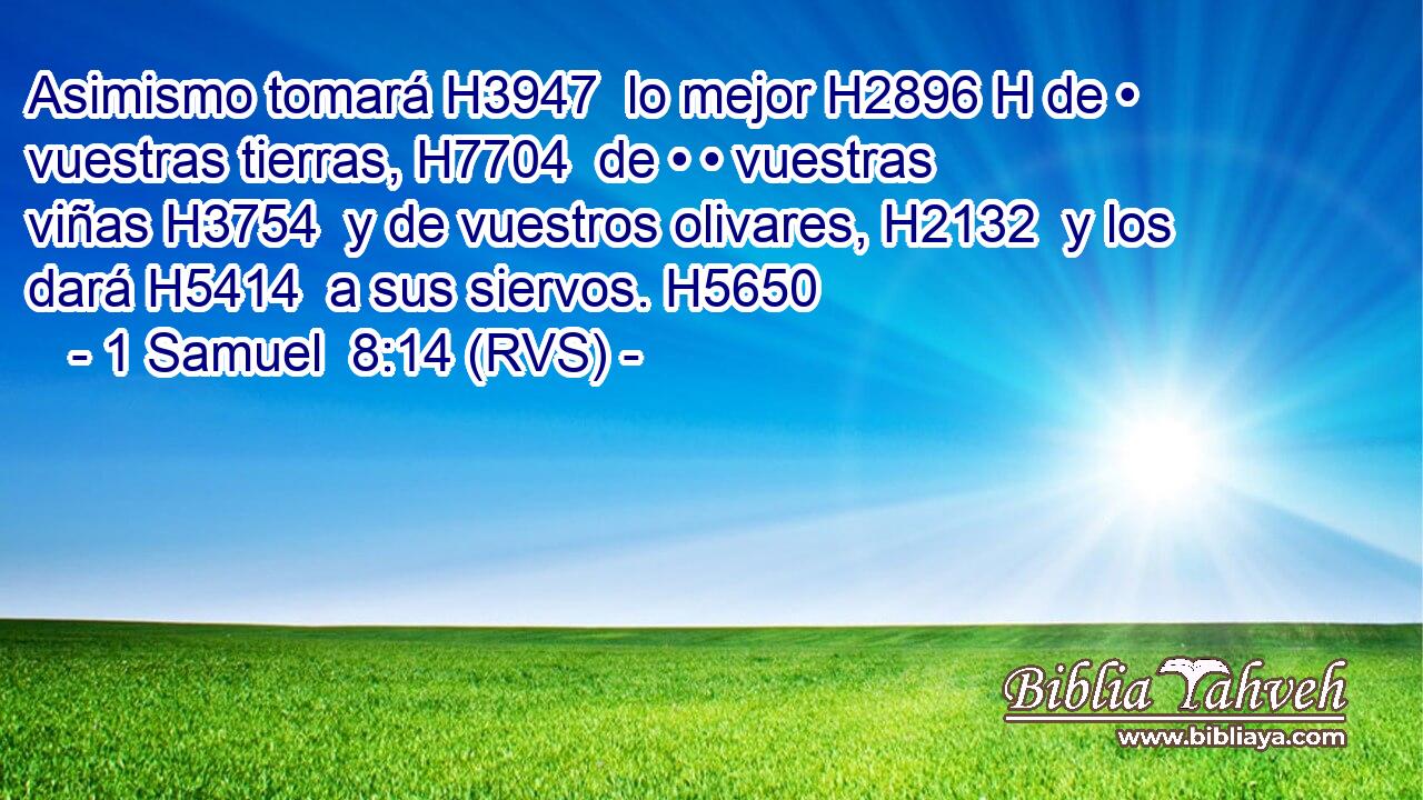 Asimismo tomará H3947  lo mejor H2896 H de • vuestras tierras, H7704  de • • vuestras viñas H3754  y de vuestros olivares, H2132  y los dará H5414  a sus siervos. H5650  