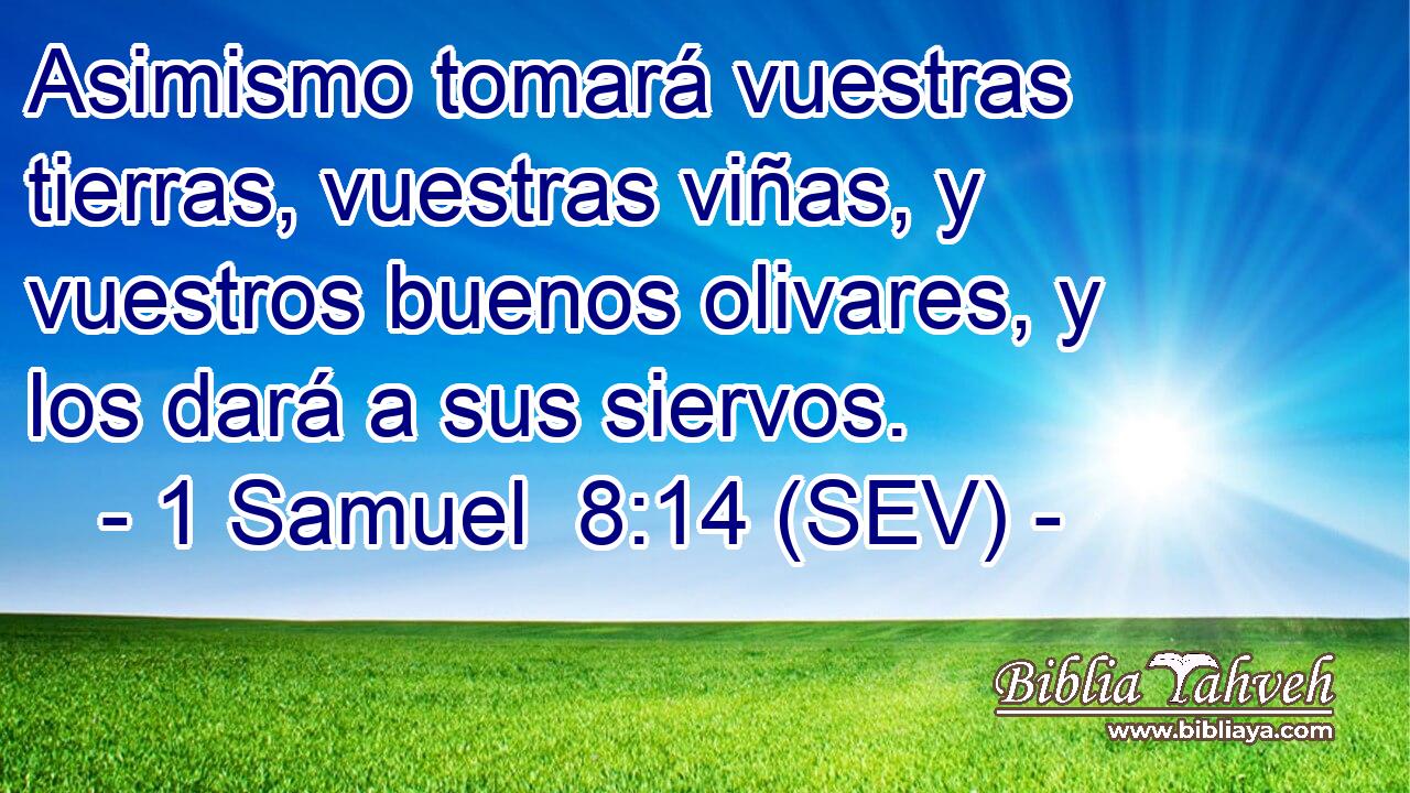Asimismo tomará vuestras tierras, vuestras viñas, y vuestros buenos olivares, y los dará a sus siervos.