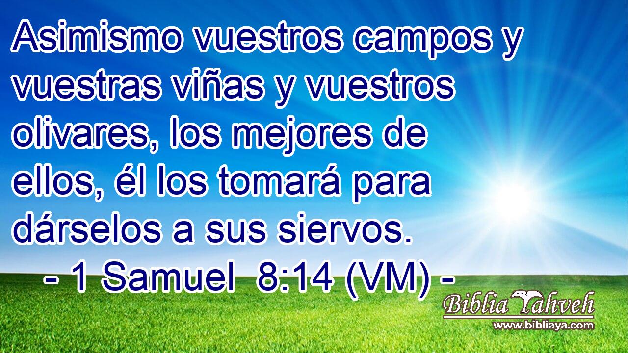  Asimismo vuestros campos y vuestras viñas y vuestros olivares, los mejores de ellos, él los tomará para dárselos a sus siervos. 