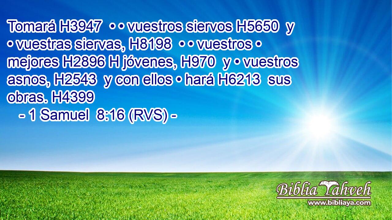Tomará H3947  • • vuestros siervos H5650  y • vuestras siervas, H8198  • • vuestros • mejores H2896 H jóvenes, H970  y • vuestros asnos, H2543  y con ellos • hará H6213  sus obras. H4399  