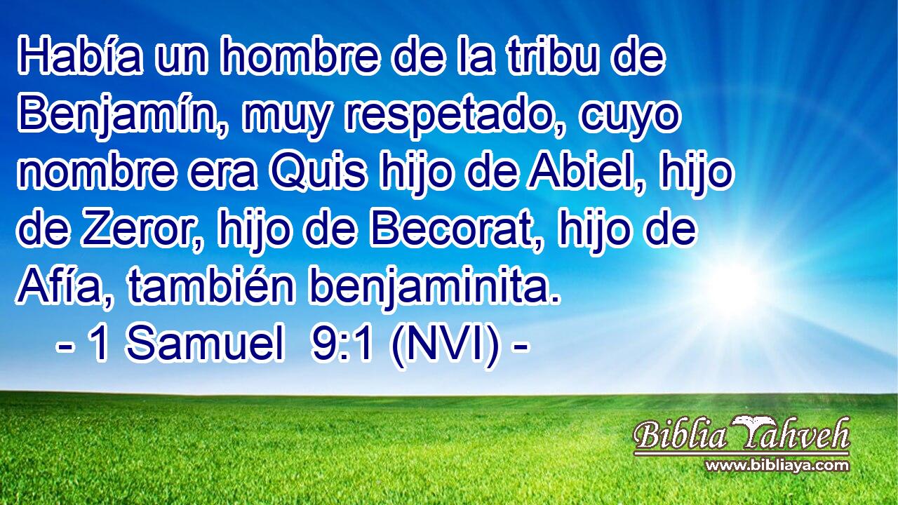  Había un hombre de la tribu de Benjamín, muy respetado, cuyo nombre era Quis hijo de Abiel, hijo de Zeror, hijo de Becorat, hijo de Afía, también benjaminita. 