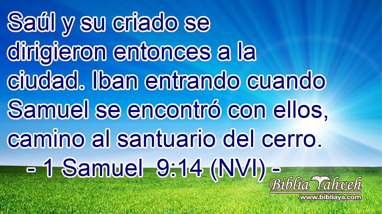  Saúl y su criado se dirigieron entonces a la ciudad. Iban entrando cuando Samuel se encontró con ellos, camino al santuario del cerro. 