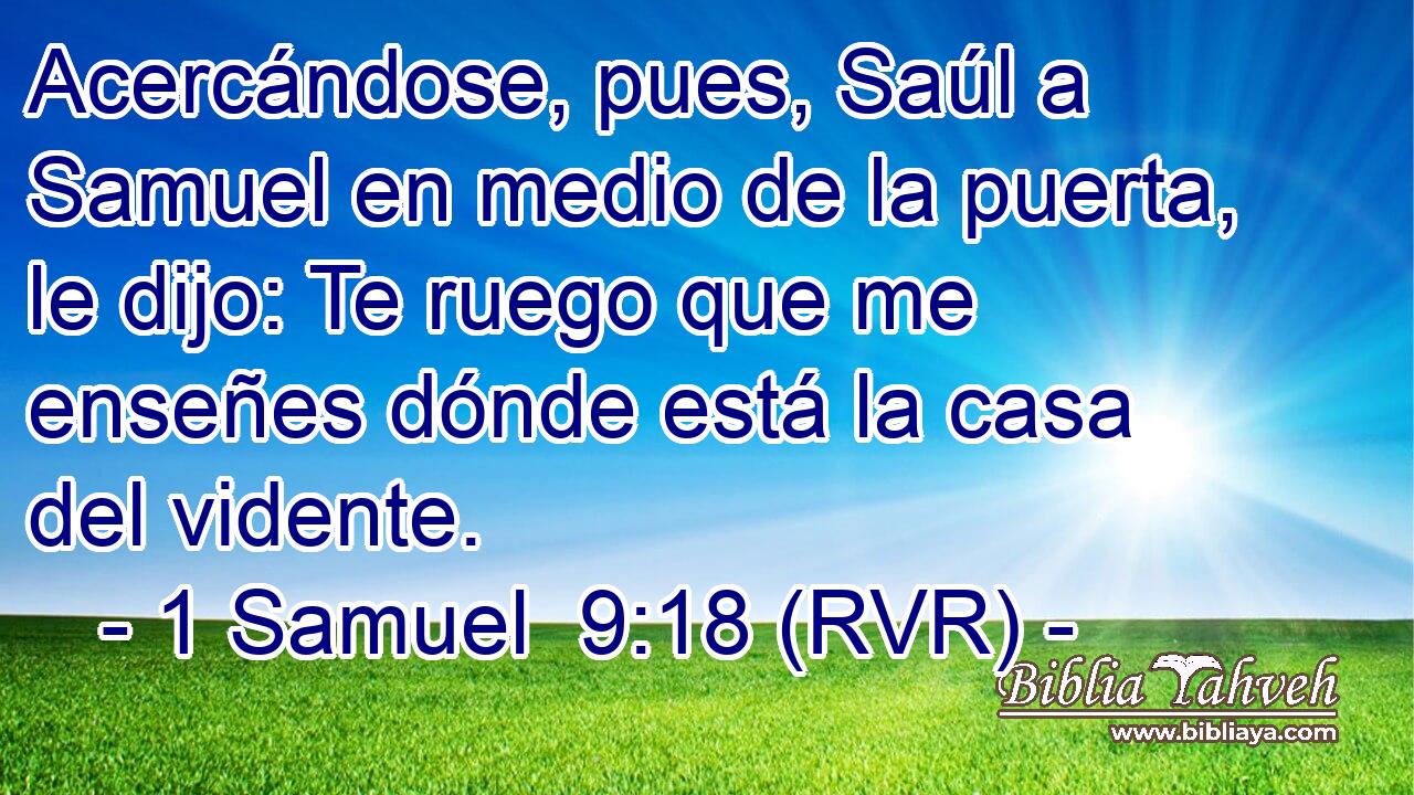 Acercándose, pues, Saúl a Samuel en medio de la puerta, le dijo: Te ruego que me enseñes dónde está la casa del vidente.