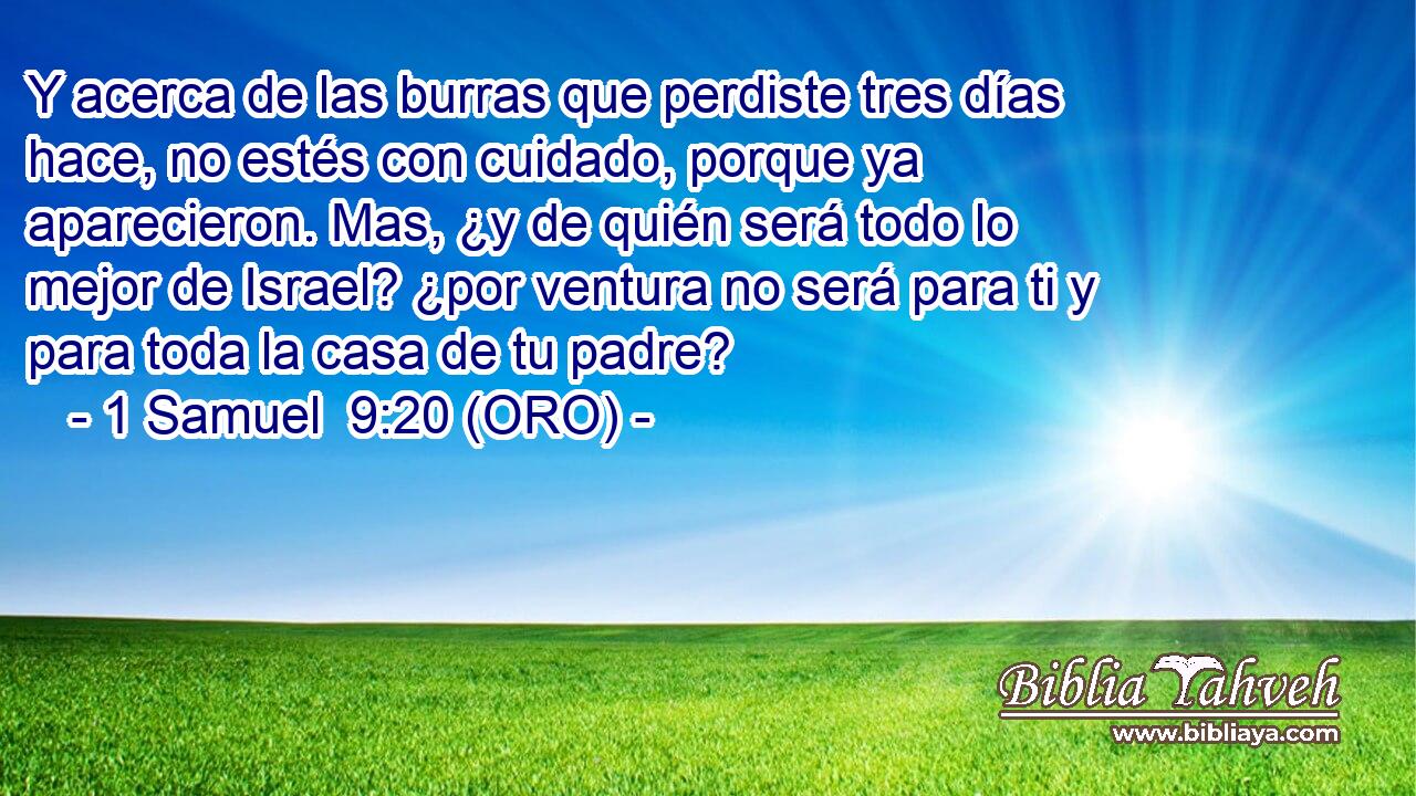  Y acerca de las burras que perdiste tres días hace, no estés con cuidado, porque ya aparecieron. Mas, ¿y de quién será todo lo mejor de Israel? ¿por ventura no será para ti y para toda la casa de tu padre? 