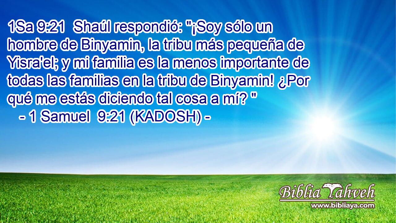  Shaúl respondió: 