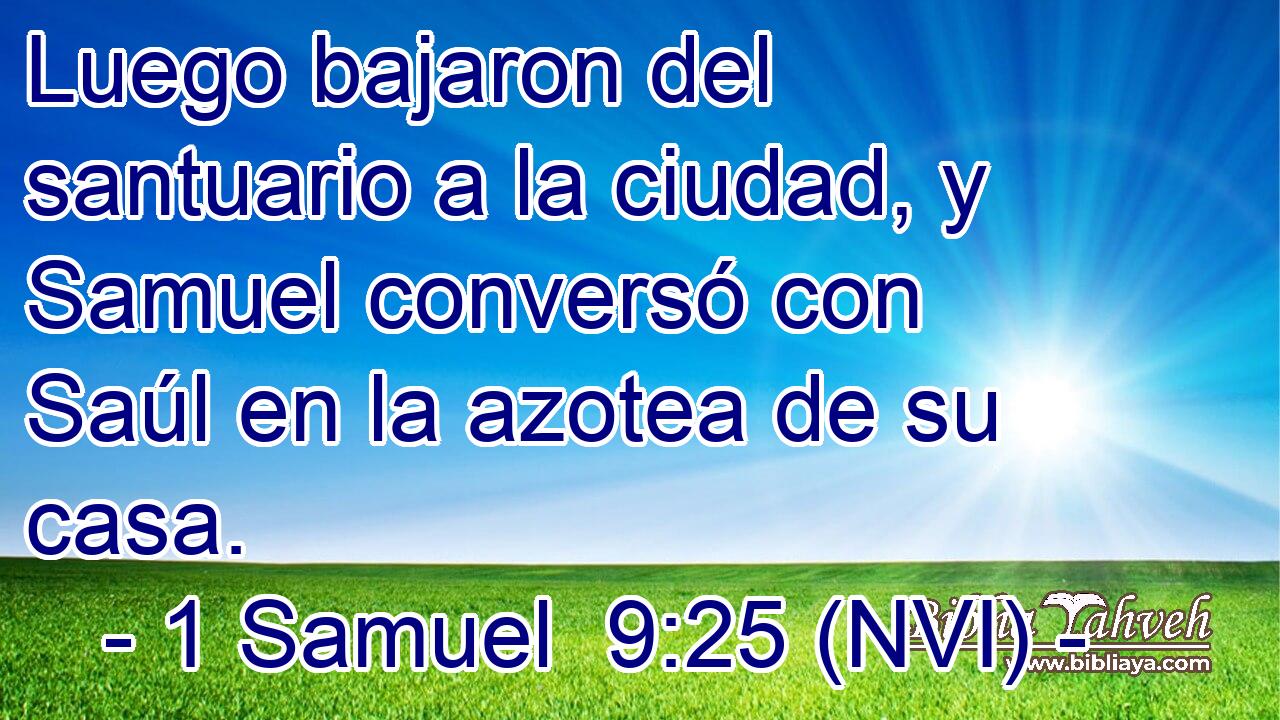  Luego bajaron del santuario a la ciudad, y Samuel conversó con Saúl en la azotea de su casa. 