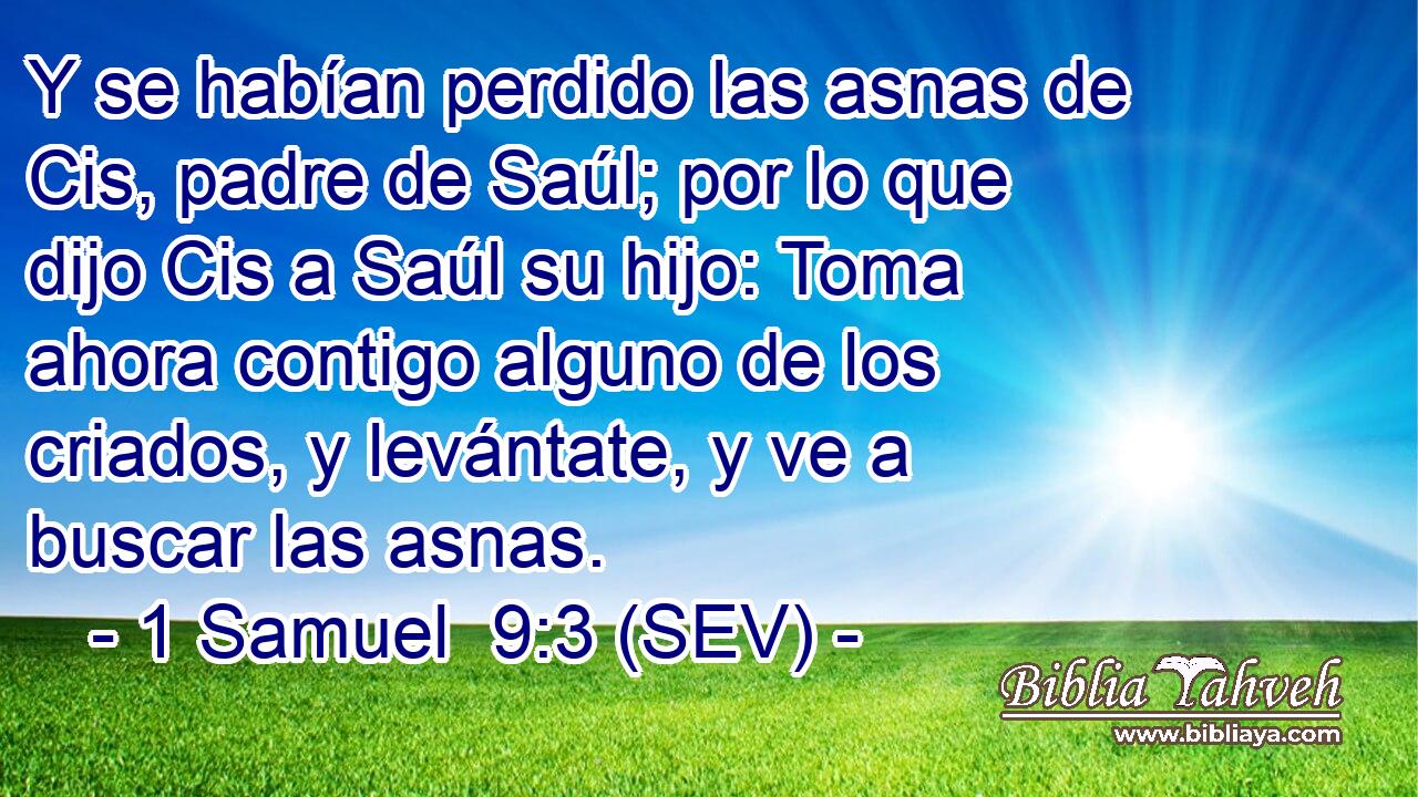 Y se habían perdido las asnas de Cis, padre de Saúl; por lo que dijo Cis a Saúl su hijo: Toma ahora contigo alguno de los criados, y levántate, y ve a buscar las asnas.