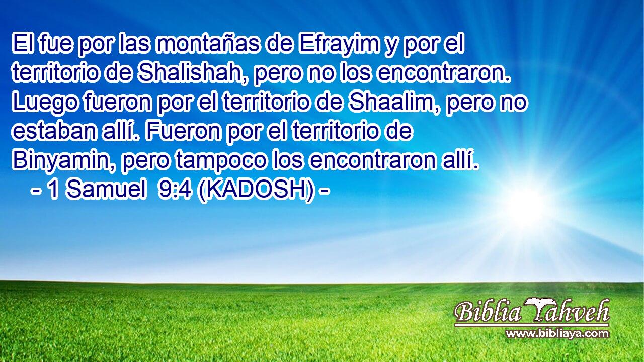  El fue por las montañas de Efrayim y por el territorio de Shalishah, pero no los encontraron. Luego fueron por el territorio de Shaalim, pero no estaban allí. Fueron por el territorio de Binyamin, pero tampoco los encontraron allí. 