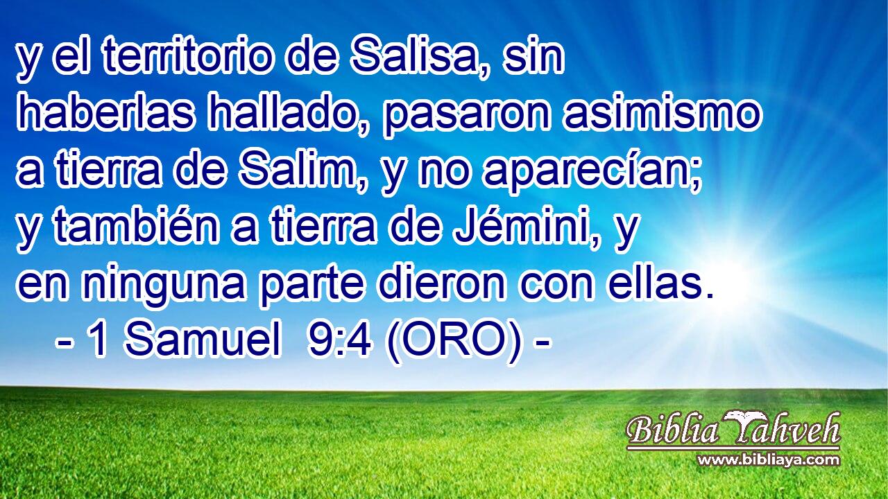  y el territorio de Salisa, sin haberlas hallado, pasaron asimismo a tierra de Salim, y no aparecían; y también a tierra de Jémini, y en ninguna parte dieron con ellas. 