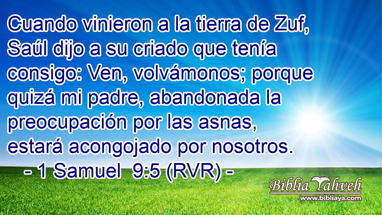 Cuando vinieron a la tierra de Zuf, Saúl dijo a su criado que tenía consigo: Ven, volvámonos; porque quizá mi padre, abandonada la preocupación por las asnas, estará acongojado por nosotros.