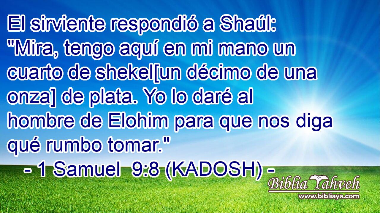  El sirviente respondió a Shaúl: 