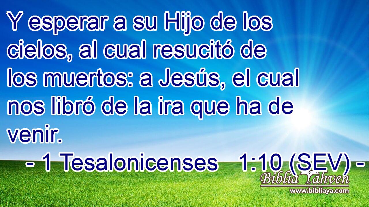 Y esperar a su Hijo de los cielos, al cual resucitó de los muertos: a Jesús, el cual nos libró de la ira que ha de venir.
