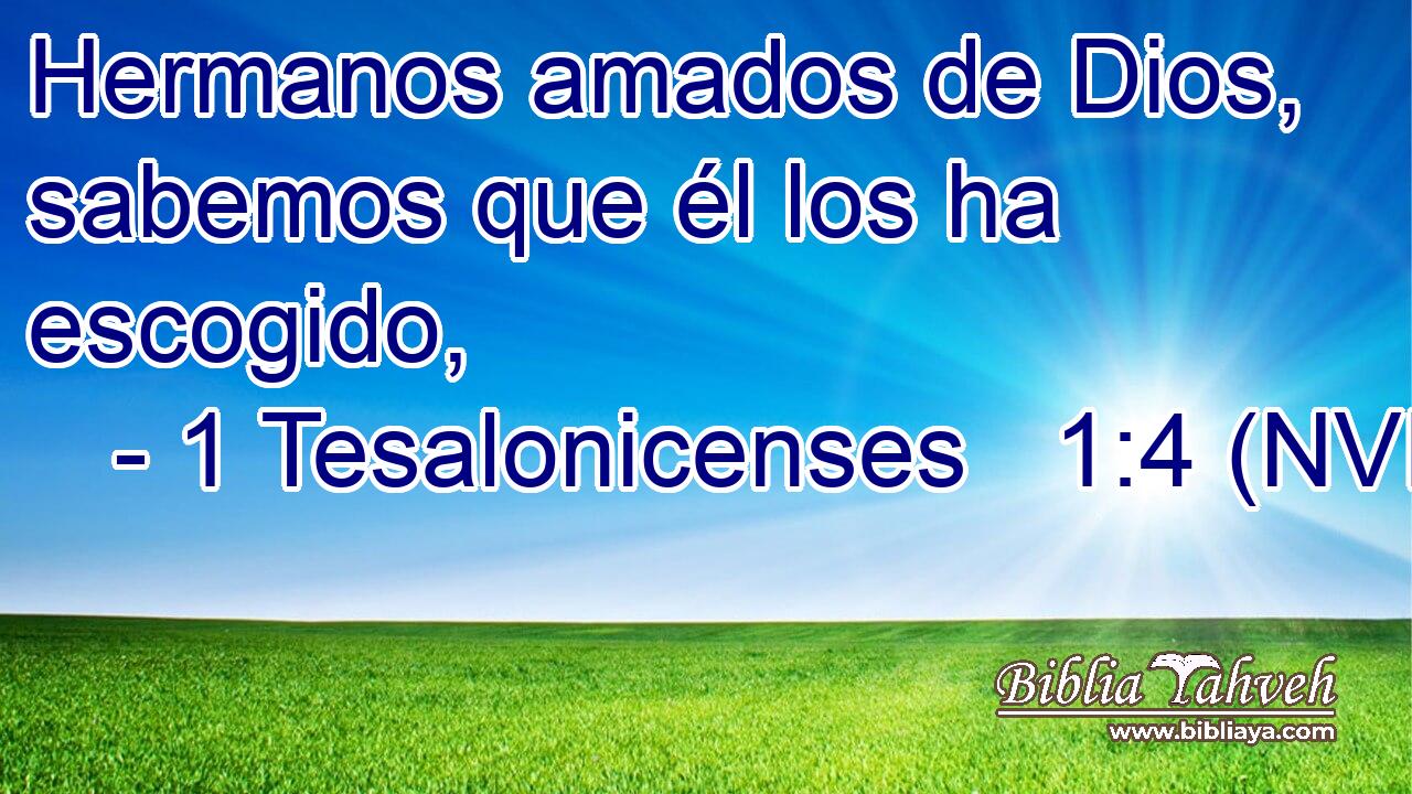  Hermanos amados de Dios, sabemos que él los ha escogido, 
