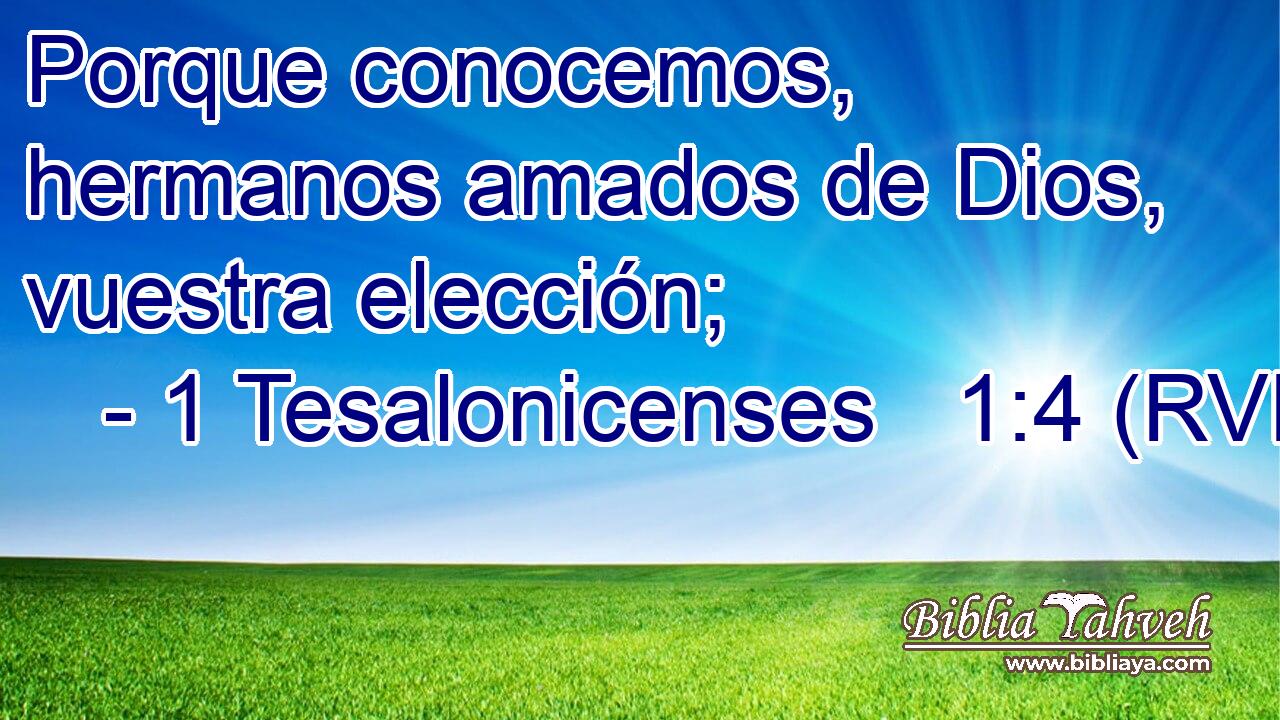 Porque conocemos, hermanos amados de Dios, vuestra elección;