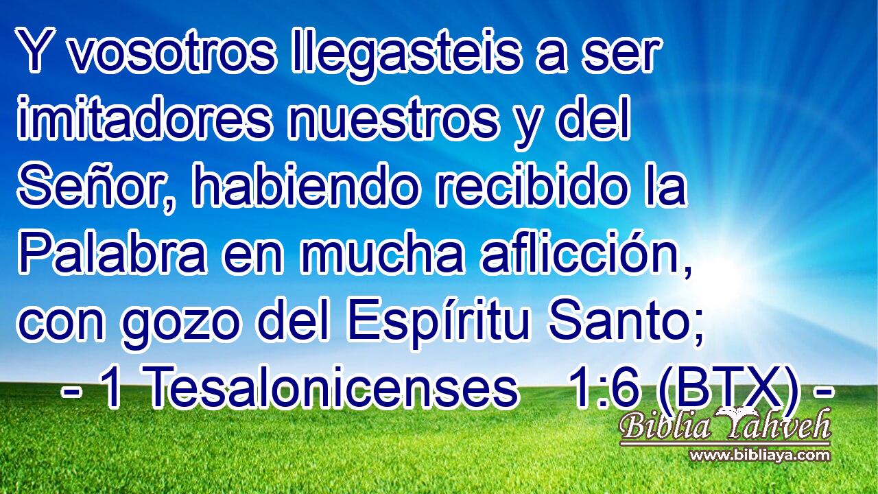 Y vosotros llegasteis a ser imitadores nuestros y del Señor, habiendo recibido la Palabra en mucha aflicción, con gozo del Espíritu Santo;