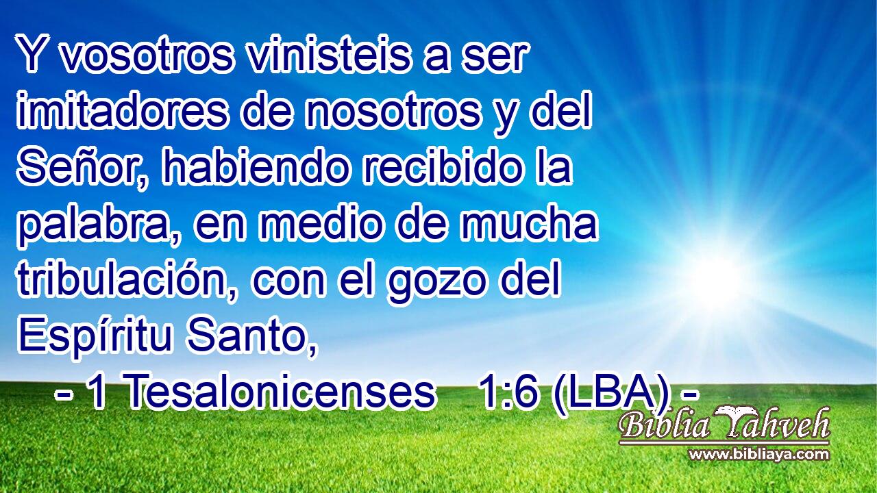 Y vosotros vinisteis a ser imitadores de nosotros y del Señor, habiendo recibido la palabra, en medio de mucha tribulación, con el gozo del Espíritu Santo,