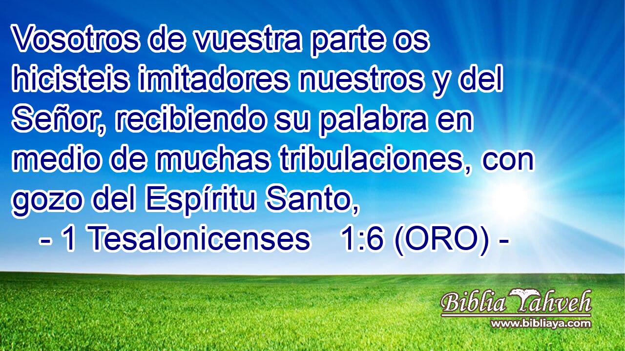  Vosotros de vuestra parte os hicisteis imitadores nuestros y del Señor, recibiendo su palabra en medio de muchas tribulaciones, con gozo del Espíritu Santo, 