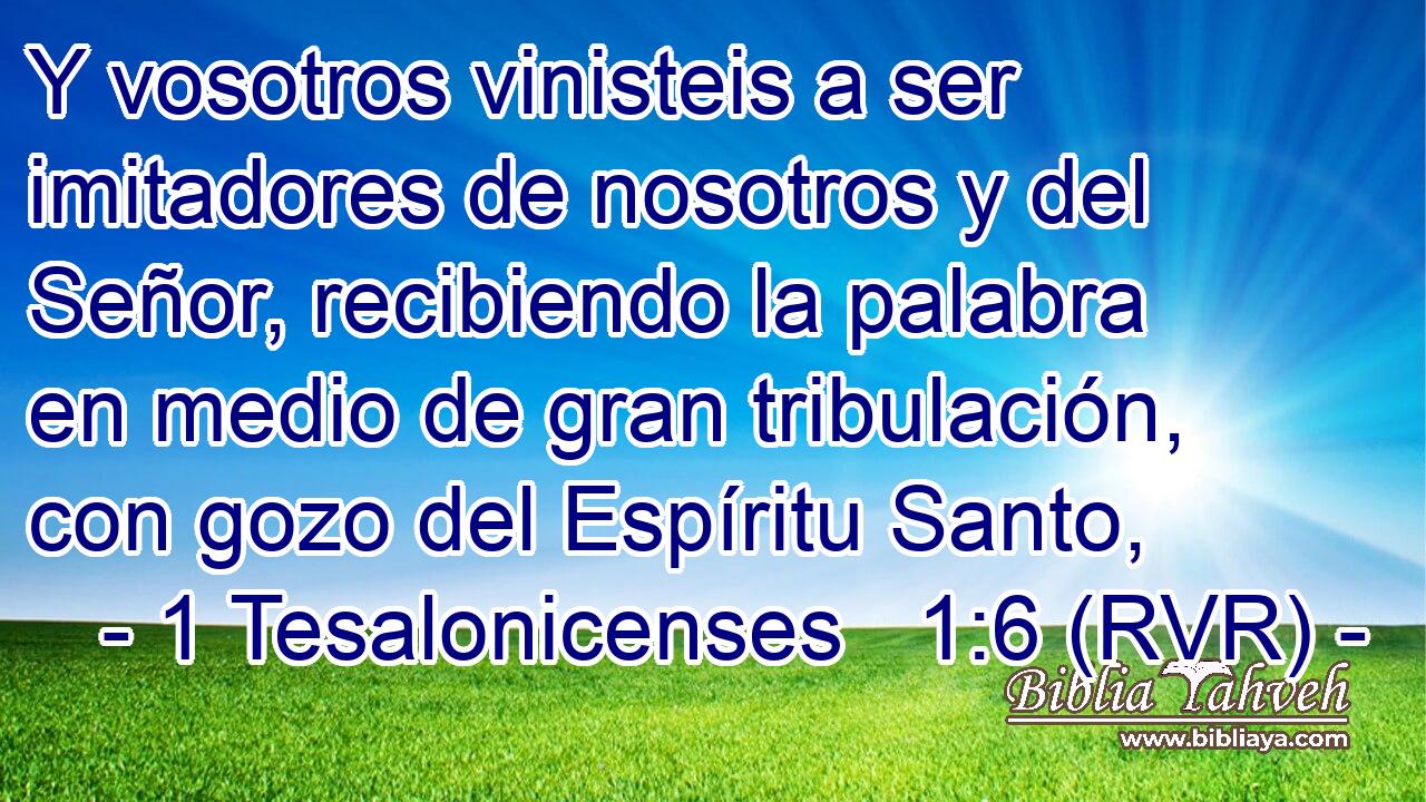 Y vosotros vinisteis a ser imitadores de nosotros y del Señor, recibiendo la palabra en medio de gran tribulación, con gozo del Espíritu Santo,