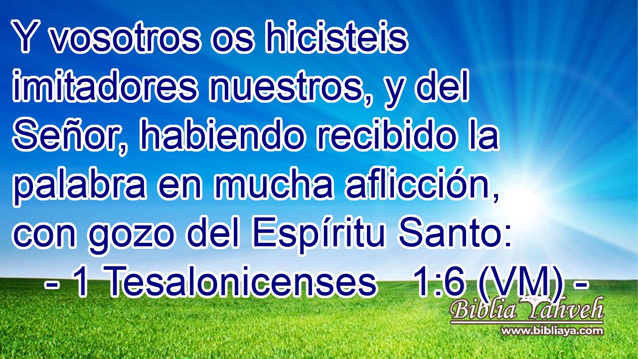  Y vosotros os hicisteis imitadores nuestros, y del Señor, habiendo recibido la palabra en mucha aflicción, con gozo del Espíritu Santo: 