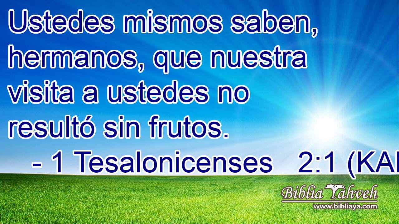  Ustedes mismos saben, hermanos, que nuestra visita a ustedes no resultó sin frutos. 