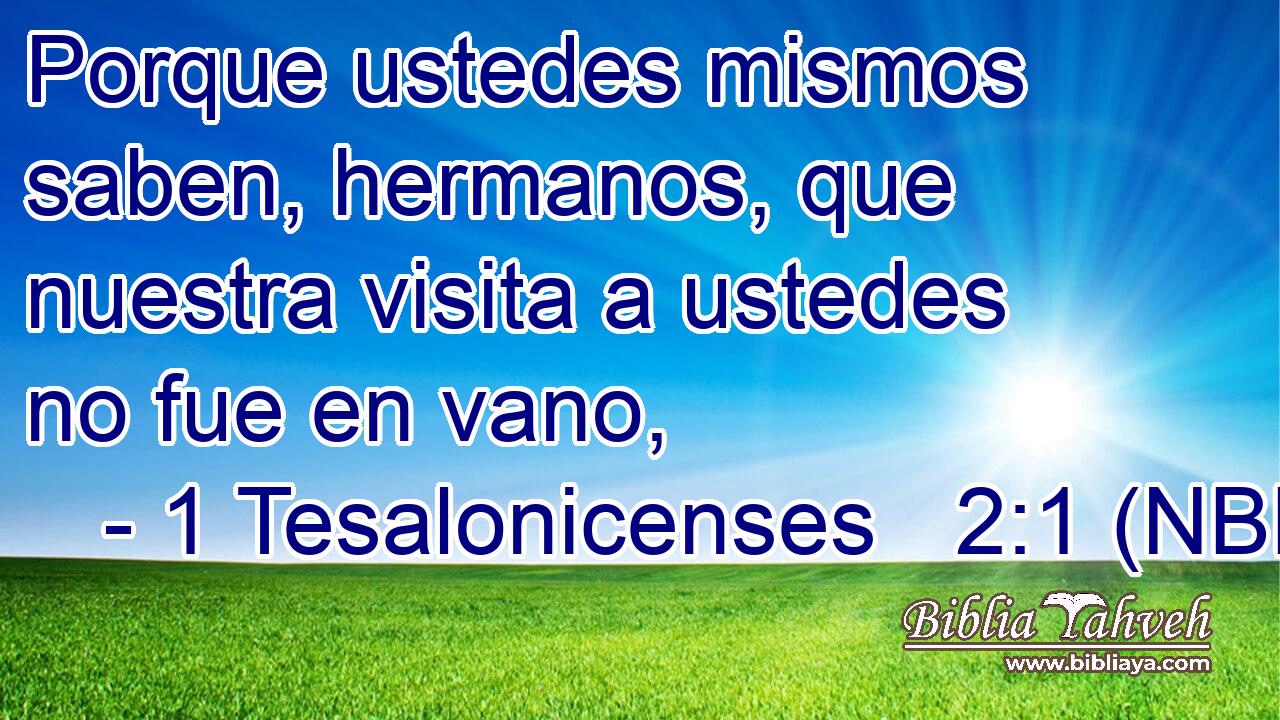  Porque ustedes mismos saben, hermanos, que nuestra visita a ustedes no fue en vano, 