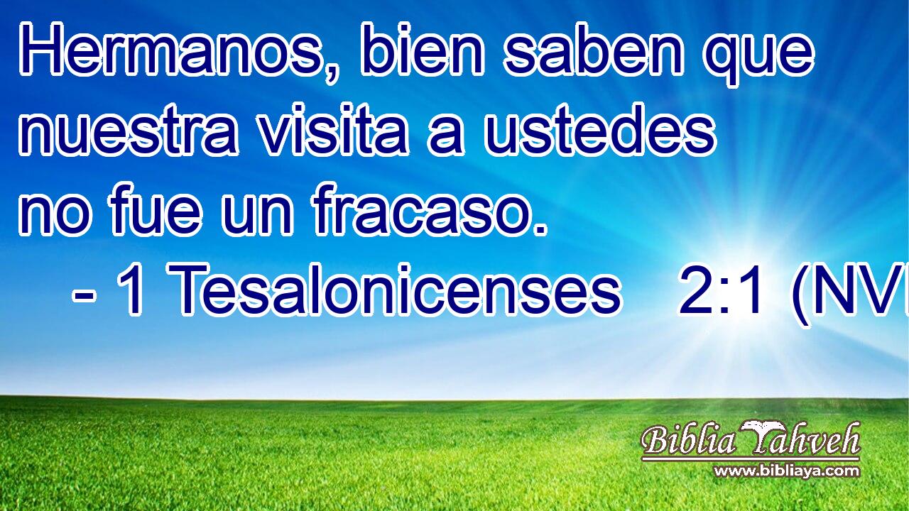  Hermanos, bien saben que nuestra visita a ustedes no fue un fracaso. 