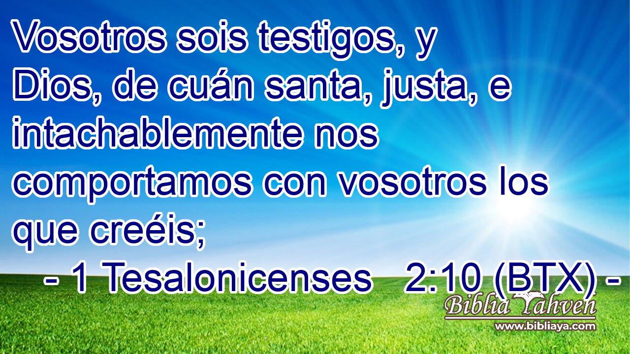 Vosotros sois testigos, y Dios, de cuán santa, justa, e intachablemente nos comportamos con vosotros los que creéis;