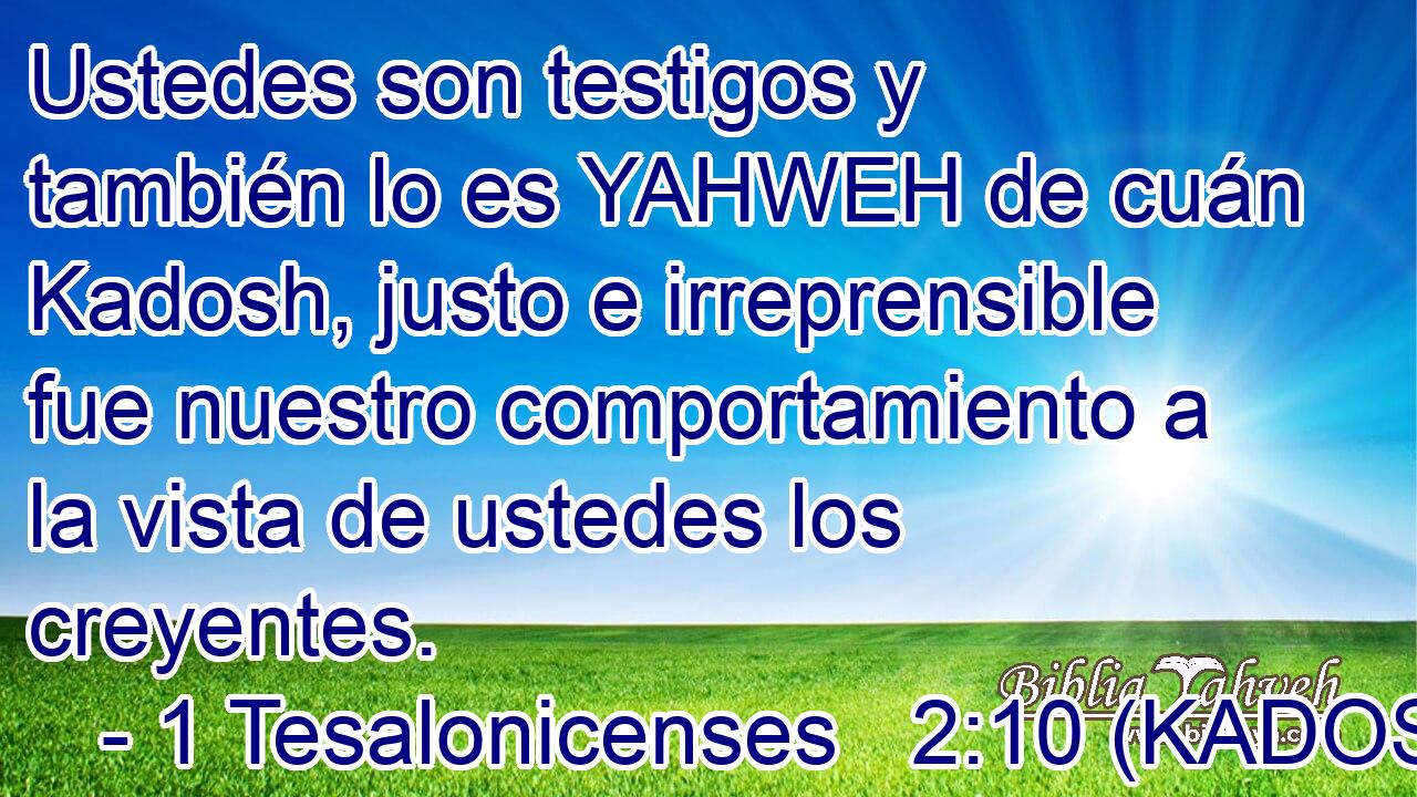  Ustedes son testigos y también lo es YAHWEH de cuán Kadosh, justo e irreprensible fue nuestro comportamiento a la vista de ustedes los creyentes. 