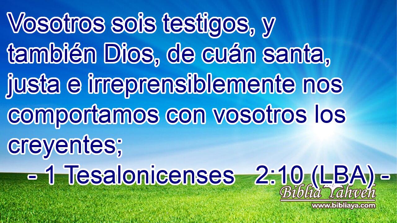 Vosotros sois testigos, y también Dios, de cuán santa, justa e irreprensiblemente nos comportamos con vosotros los creyentes;