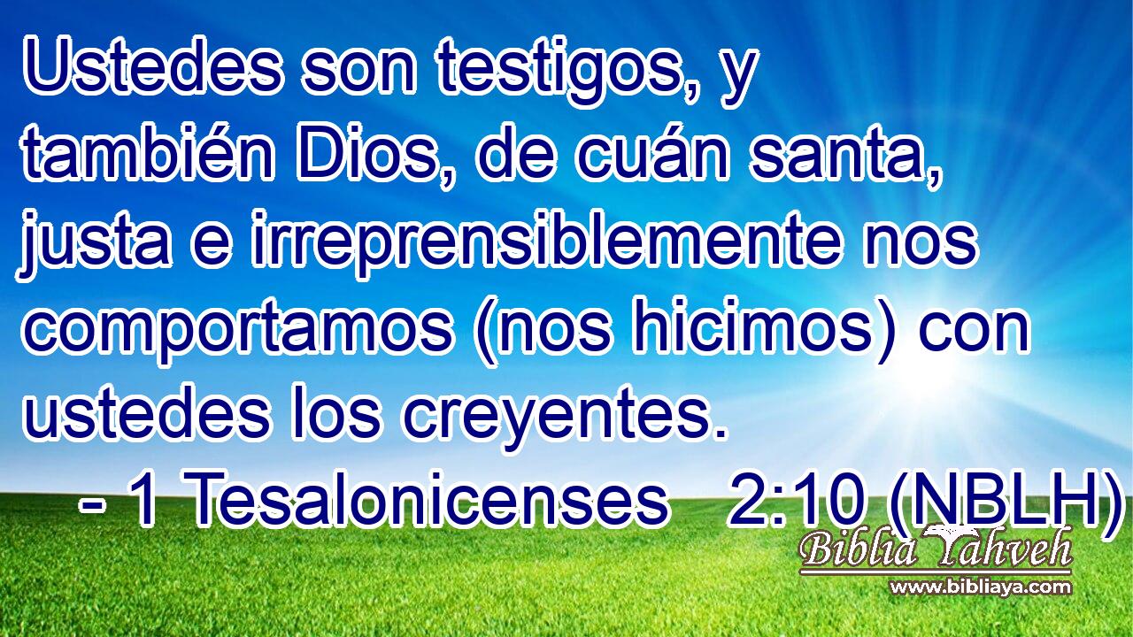  Ustedes son testigos, y también Dios, de cuán santa, justa e irreprensiblemente nos comportamos (nos hicimos) con ustedes los creyentes. 