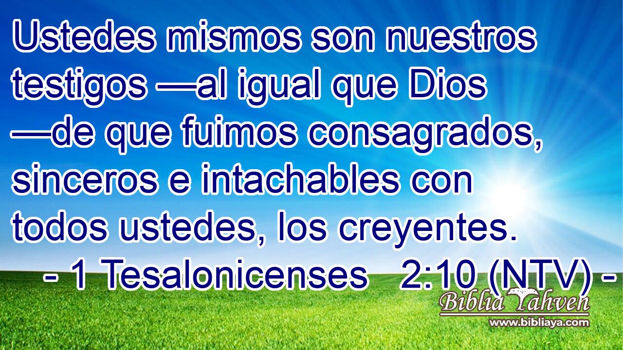 Ustedes mismos son nuestros testigos —al igual que Dios —de que fuimos consagrados, sinceros e intachables con todos ustedes, los creyentes.