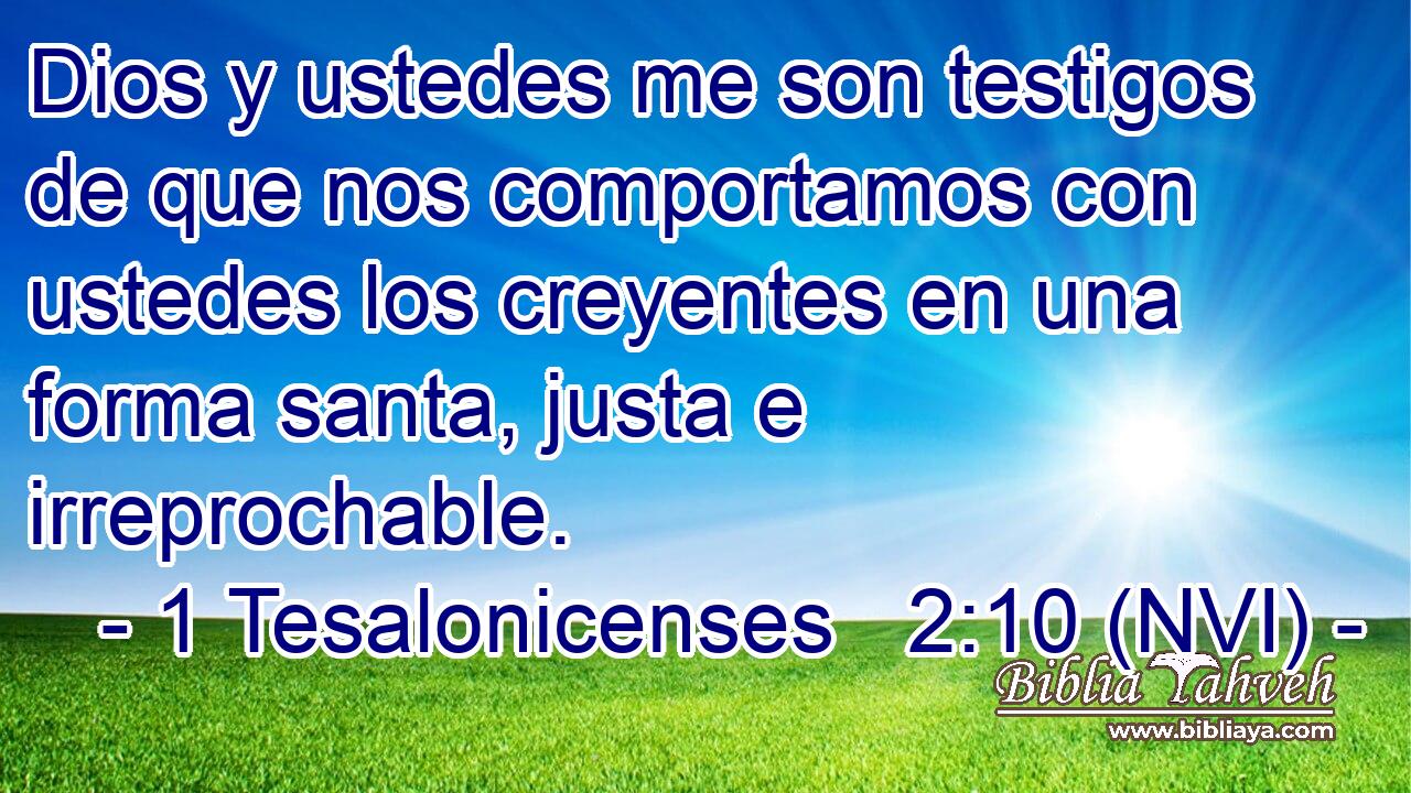  Dios y ustedes me son testigos de que nos comportamos con ustedes los creyentes en una forma santa, justa e irreprochable. 