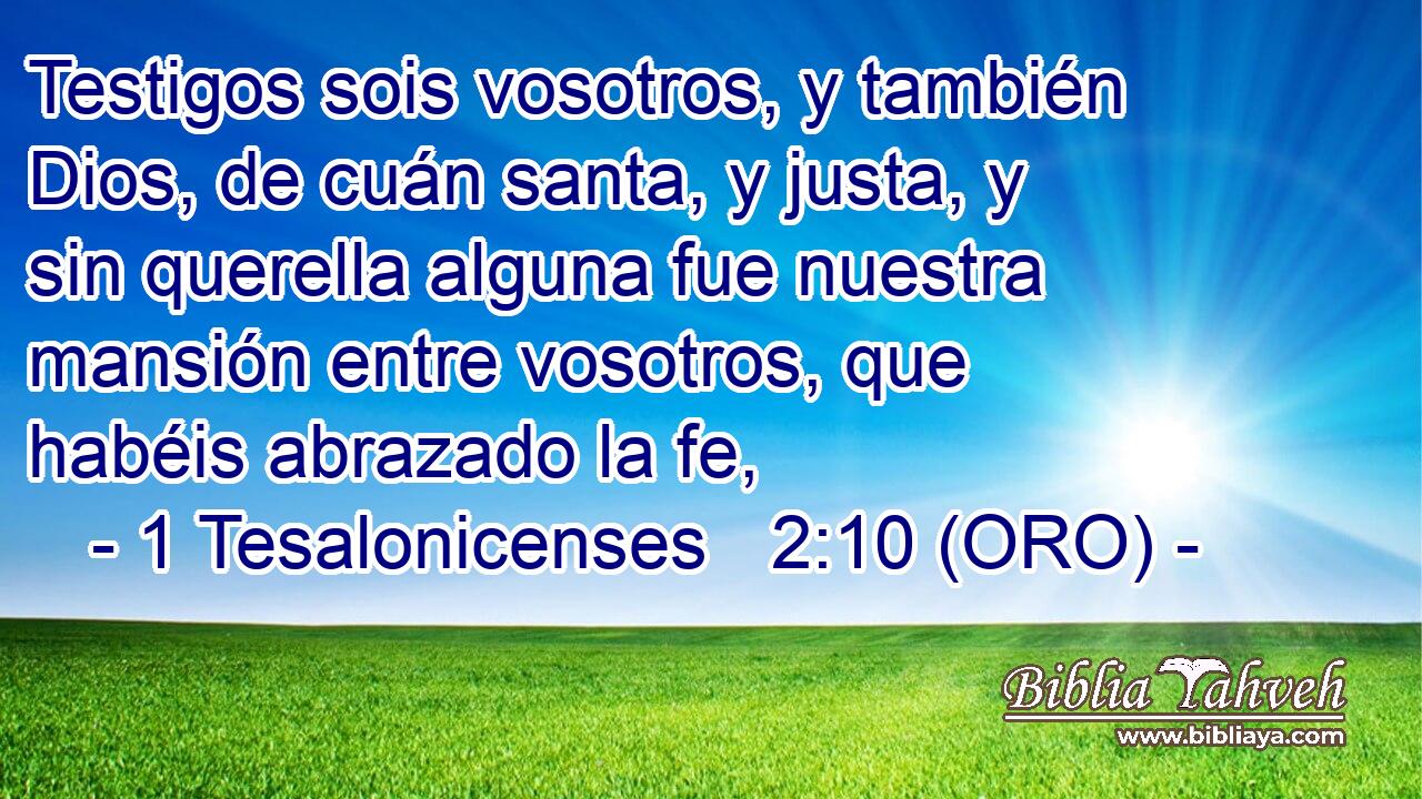  Testigos sois vosotros, y también Dios, de cuán santa, y justa, y sin querella alguna fue nuestra mansión entre vosotros, que habéis abrazado la fe, 