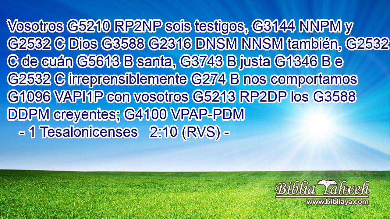 Vosotros G5210 RP2NP sois testigos, G3144 NNPM y G2532 C Dios G3588 G2316 DNSM NNSM también, G2532 C de cuán G5613 B santa, G3743 B justa G1346 B e G2532 C irreprensiblemente G274 B nos comportamos G1096 VAPI1P con vosotros G5213 RP2DP los G3588 DDPM creyentes; G4100 VPAP-PDM 
