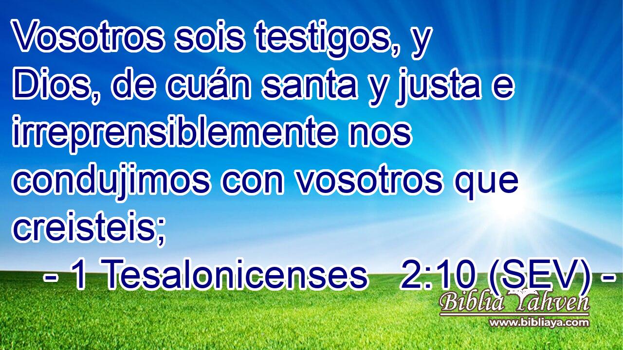 Vosotros sois testigos, y Dios, de cuán santa y justa e irreprensiblemente nos condujimos con vosotros que creisteis;