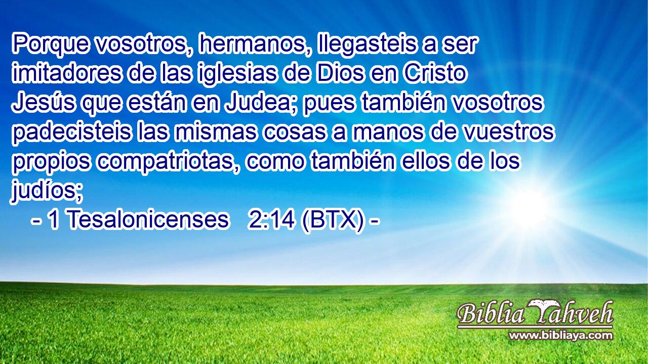 Porque vosotros, hermanos, llegasteis a ser imitadores de las iglesias de Dios en Cristo Jesús que están en Judea; pues también vosotros padecisteis las mismas cosas a manos de vuestros propios compatriotas, como también ellos de los judíos;