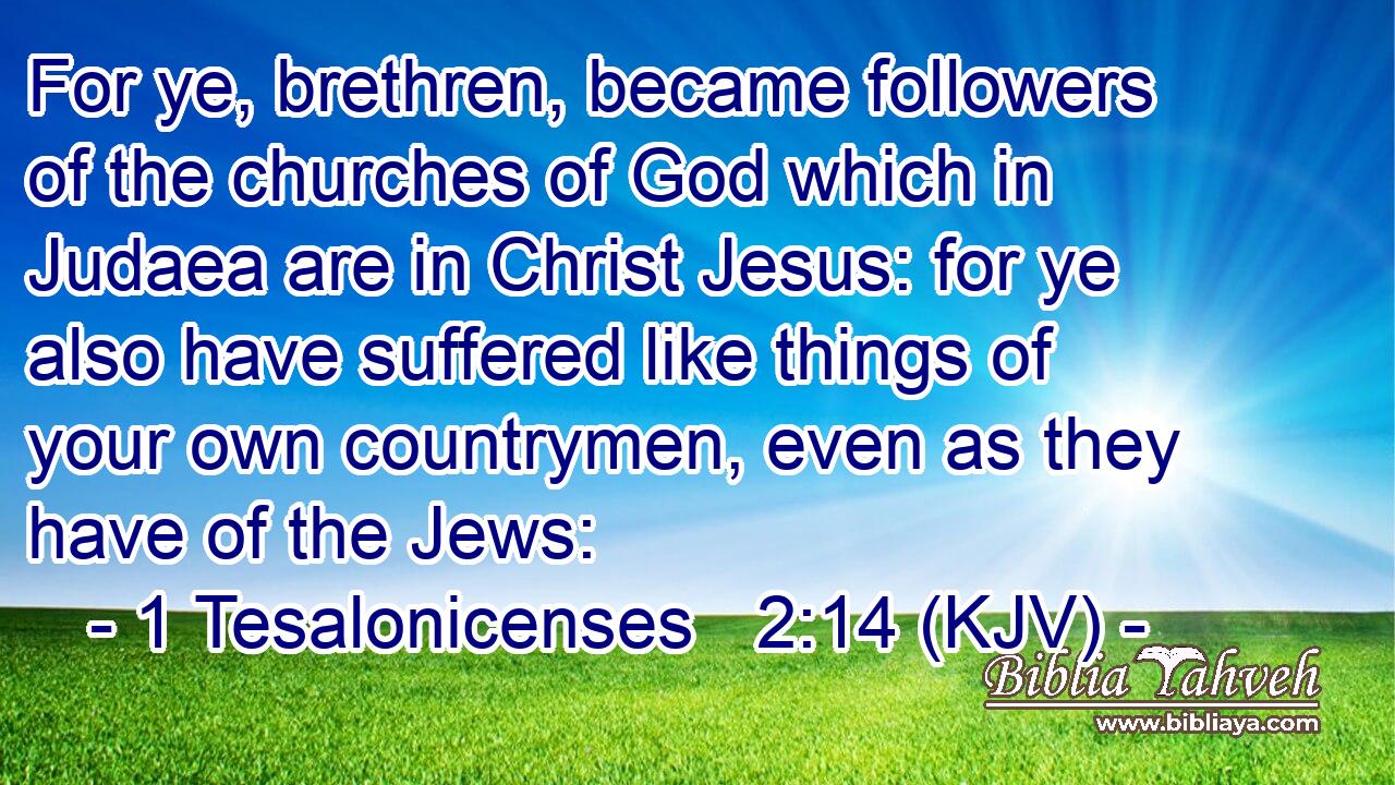 For ye, brethren, became followers of the churches of God which in Judaea are in Christ Jesus: for ye also have suffered like things of your own countrymen, even as they have of the Jews: