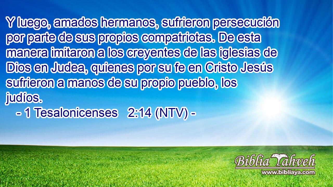 Y luego, amados hermanos, sufrieron persecución por parte de sus propios compatriotas. De esta manera imitaron a los creyentes de las iglesias de Dios en Judea, quienes por su fe en Cristo Jesús sufrieron a manos de su propio pueblo, los judíos.