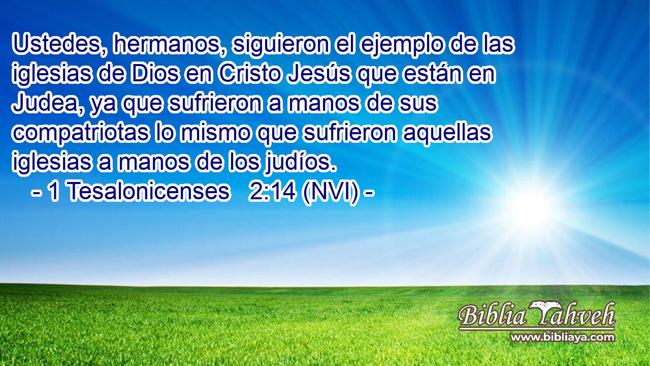  Ustedes, hermanos, siguieron el ejemplo de las iglesias de Dios en Cristo Jesús que están en Judea, ya que sufrieron a manos de sus compatriotas lo mismo que sufrieron aquellas iglesias a manos de los judíos. 