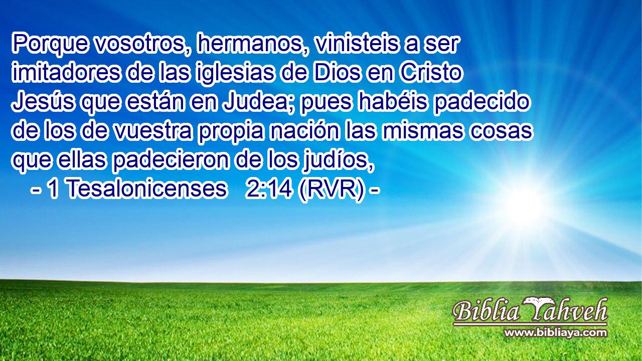 Porque vosotros, hermanos, vinisteis a ser imitadores de las iglesias de Dios en Cristo Jesús que están en Judea; pues habéis padecido de los de vuestra propia nación las mismas cosas que ellas padecieron de los judíos,