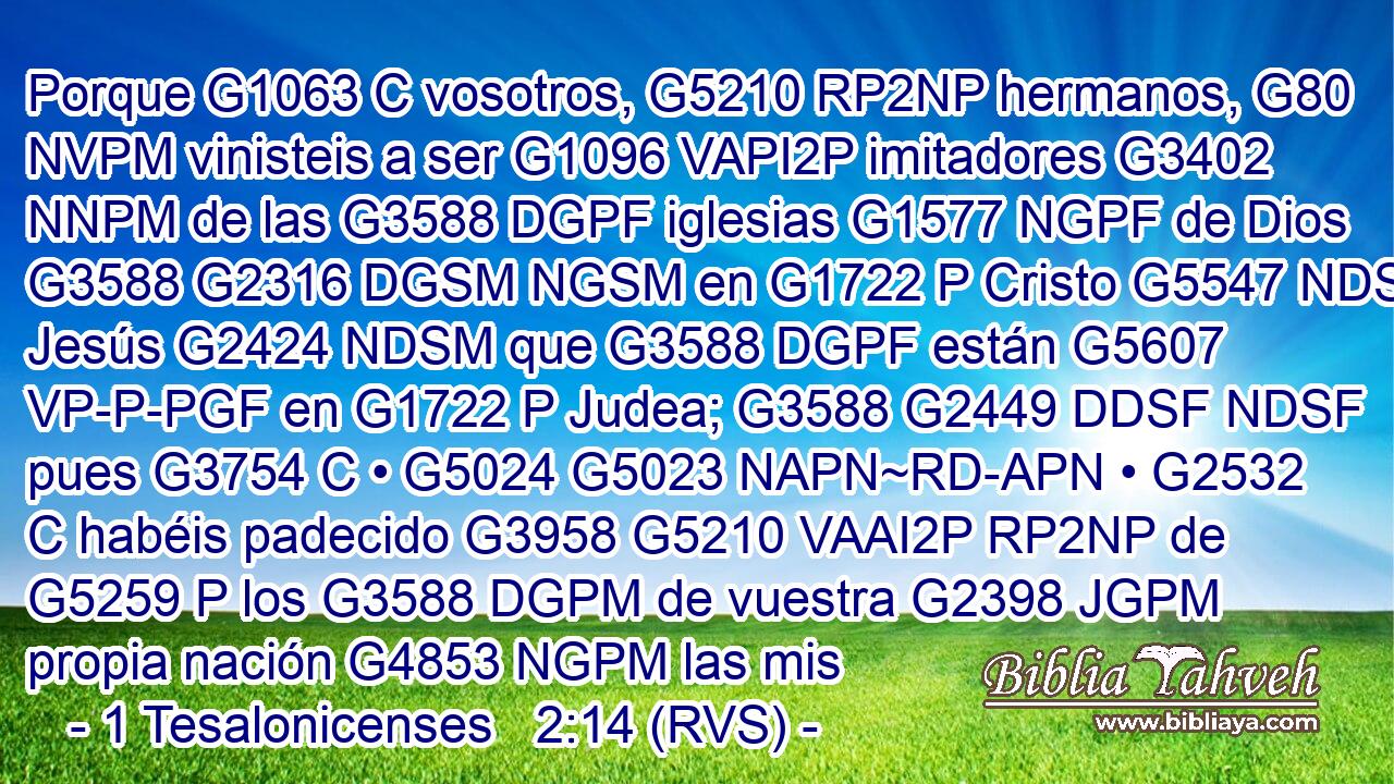 Porque G1063 C vosotros, G5210 RP2NP hermanos, G80 NVPM vinisteis a ser G1096 VAPI2P imitadores G3402 NNPM de las G3588 DGPF iglesias G1577 NGPF de Dios G3588 G2316 DGSM NGSM en G1722 P Cristo G5547 NDSM Jesús G2424 NDSM que G3588 DGPF están G5607 VP-P-PGF en G1722 P Judea; G3588 G2449 DDSF NDSF pues G3754 C • G5024 G5023 NAPN~RD-APN • G2532 C habéis padecido G3958 G5210 VAAI2P RP2NP de G5259 P los G3588 DGPM de vuestra G2398 JGPM propia nación G4853 NGPM las mis