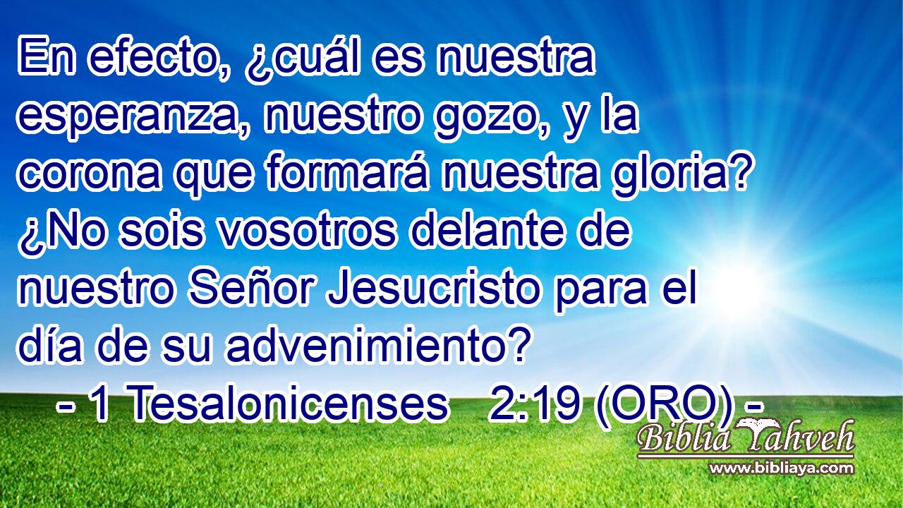  En efecto, ¿cuál es nuestra esperanza, nuestro gozo, y la corona que formará nuestra gloria? ¿No sois vosotros delante de nuestro Señor Jesucristo para el día de su advenimiento? 