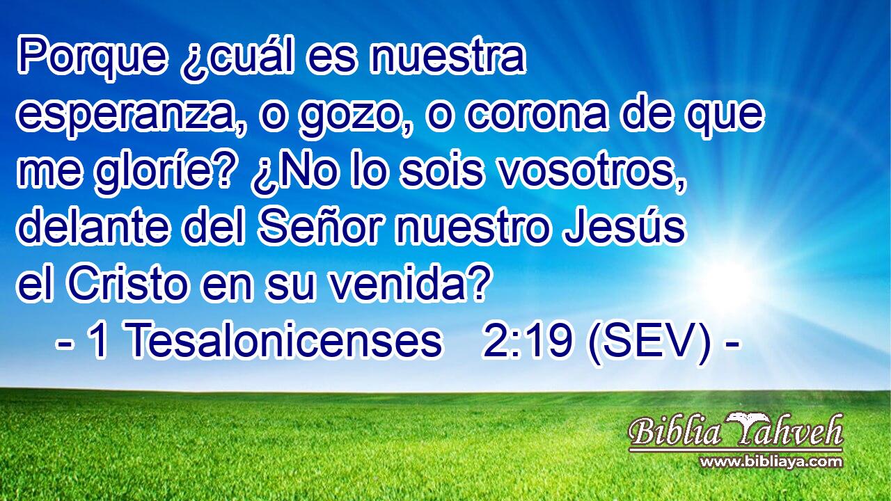 Porque ¿cuál es nuestra esperanza, o gozo, o corona de que me gloríe? ¿No lo sois vosotros, delante del Señor nuestro Jesús el Cristo en su venida?
