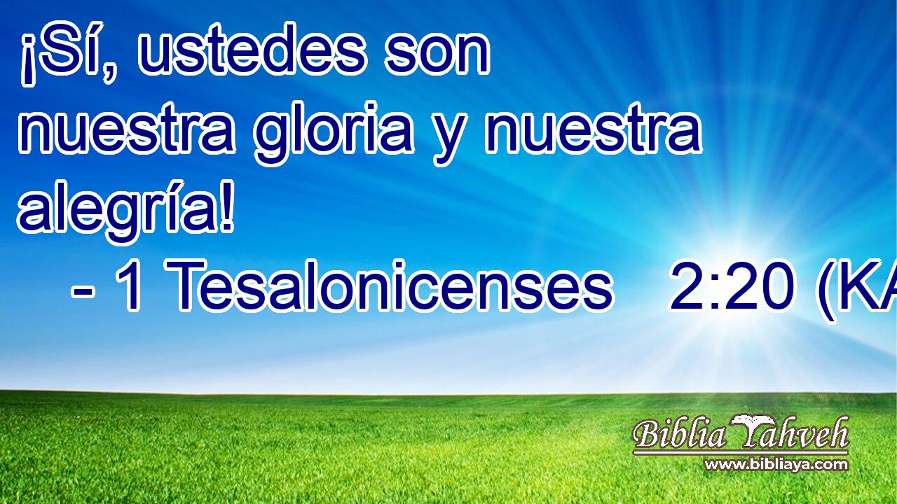  ¡Sí, ustedes son nuestra gloria y nuestra alegría! 