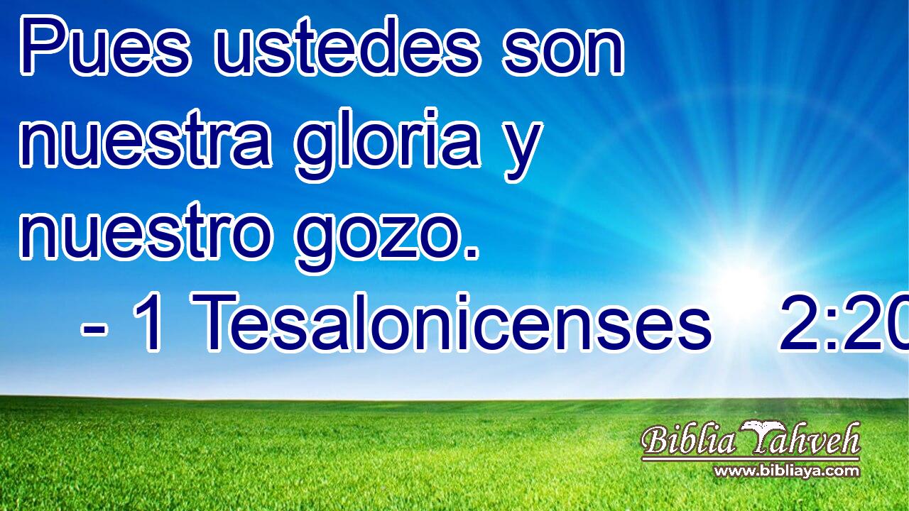  Pues ustedes son nuestra gloria y nuestro gozo. 