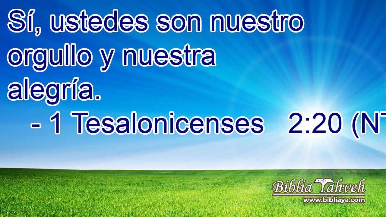 Sí, ustedes son nuestro orgullo y nuestra alegría.